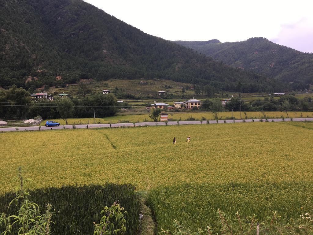 Ama'S Village Lodge Paro Exterior foto